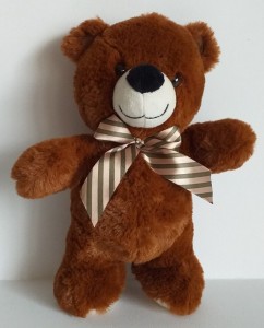 PLIASTI MEDVEDEK 27 (25cm)