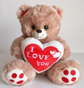 PLIASTI MEDO 54 (25cm)